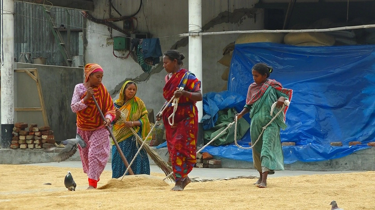 মজুরি কাঠামো নেই চাতালকন্যাদের