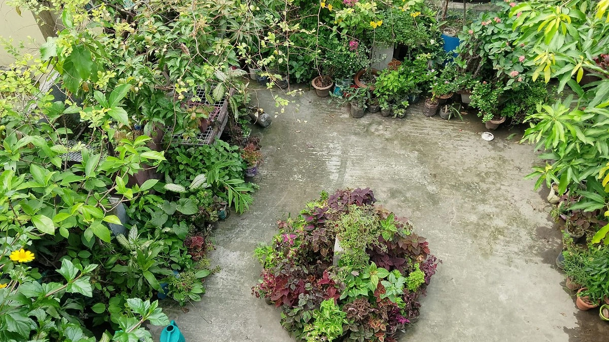 ‘অক্সিজেন ফ্যাক্টরি’র দুই কারিগর