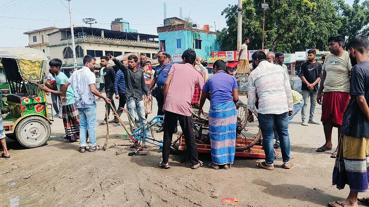 ছাগল কিনে বাড়ি ফিরছিলেন, পথে ট্রাকের ধাক্কায় মৃত্যু