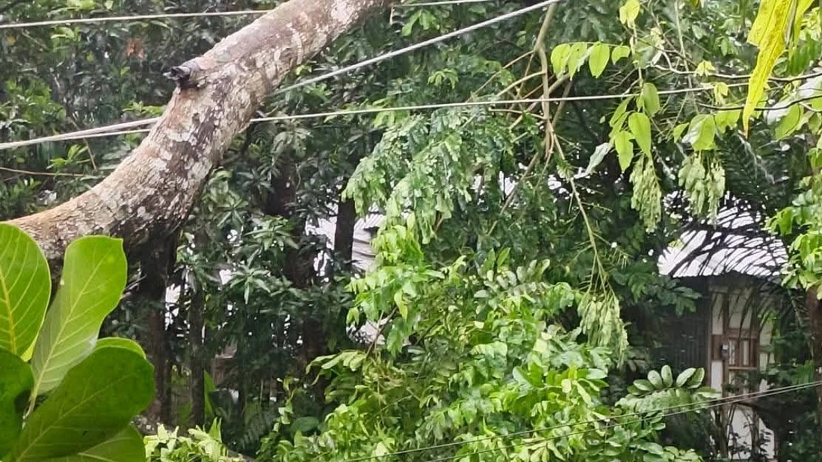 কালবৈশাখীর তাণ্ডবে লণ্ডভণ্ড মেহেন্দিগঞ্জ, বিদ্যুৎহীন বহু এলাকা
