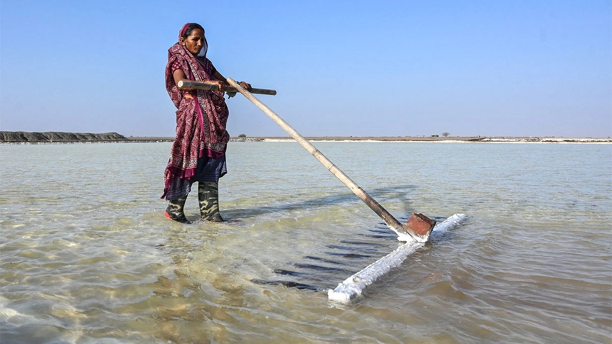 ভারতের লবণশ্রমিকদের দহনজীবন