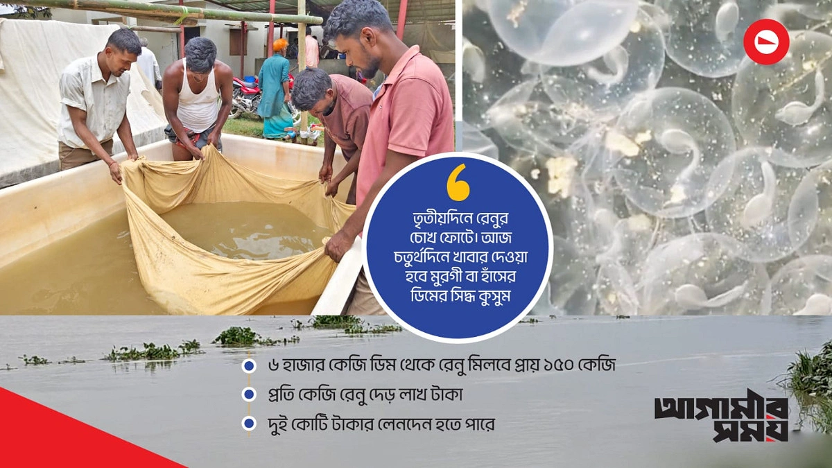 ‘চৈত-বৈশাখের ডিমে, রুই-কালবাউশ বেশি মেলে’