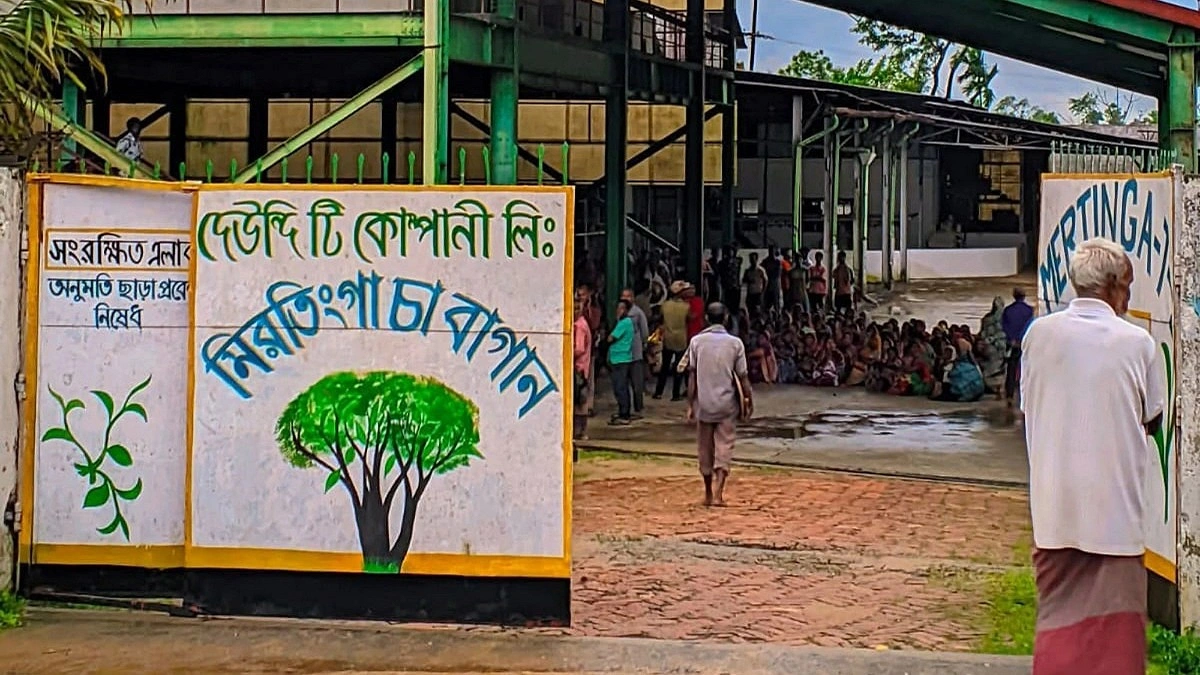 ঈদের আগে মজুরি না পেয়ে ৪ চা বাগানে শ্রমিকদের কর্মবিরতি