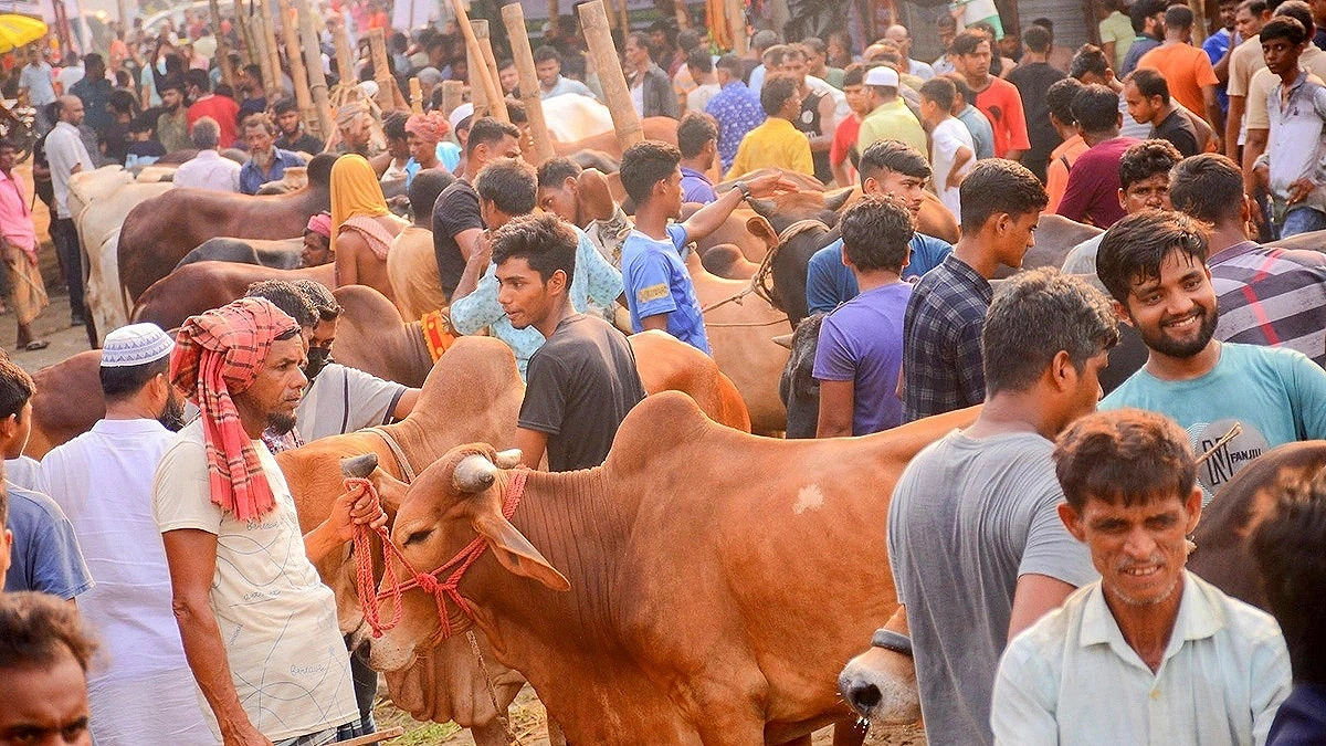 সরকারি দলের নেতা হলে পশুর হাটের ইজারা মেলে