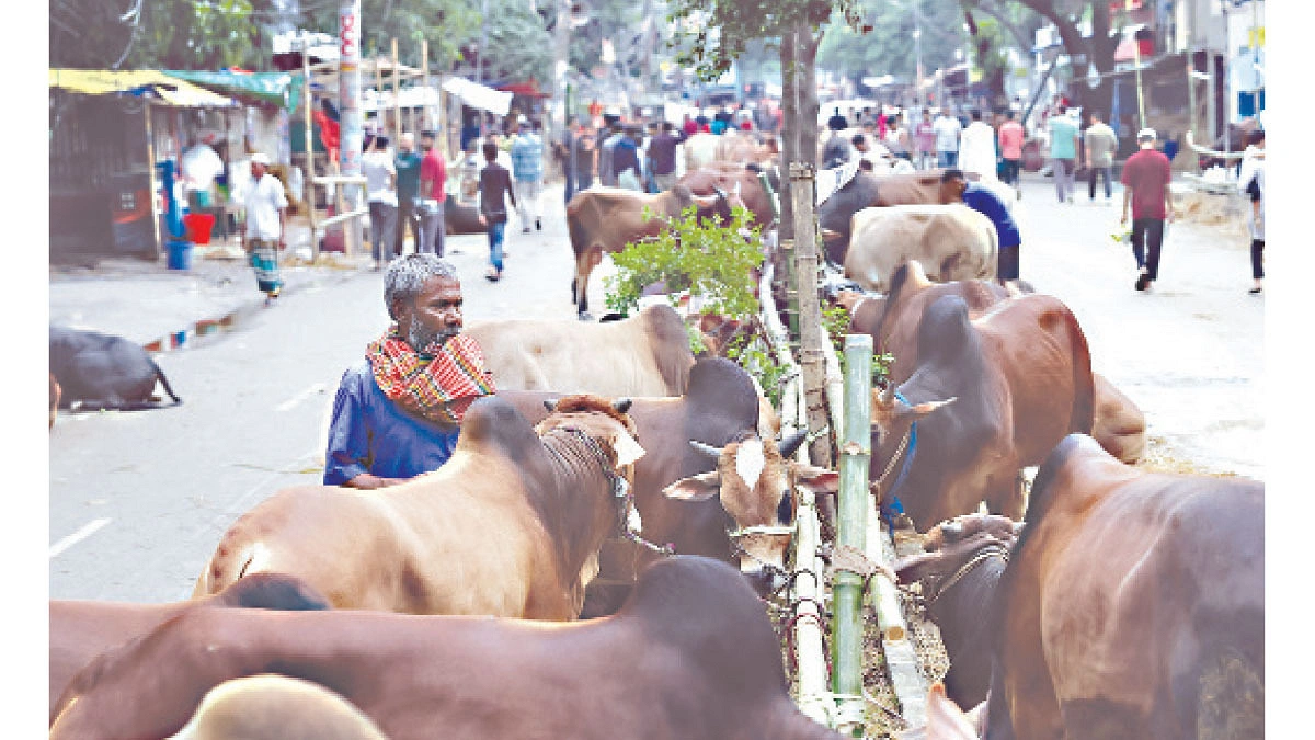 এবার ঢাকার হাটে দ্বিগুণের বেশি পশু