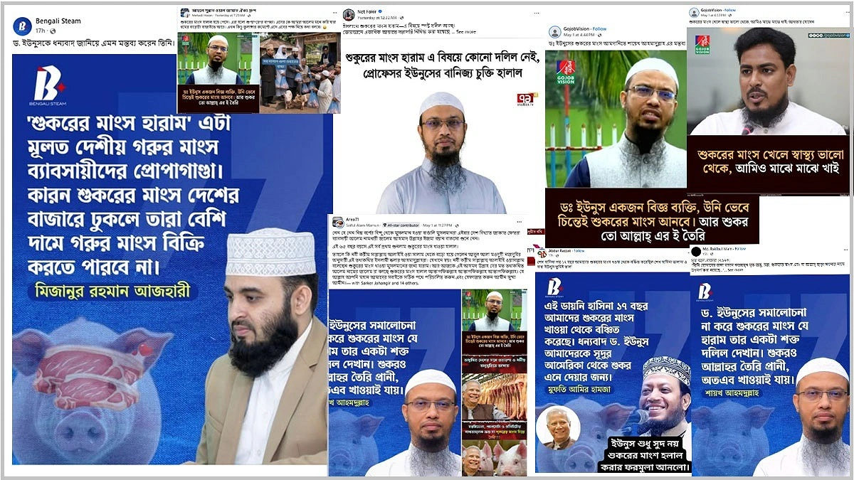 শূকরের মাংস নিয়ে আলেমদের নামে ছড়ানো ভাইরাল  ফটোকার্ডের নেপথ্যে কী?