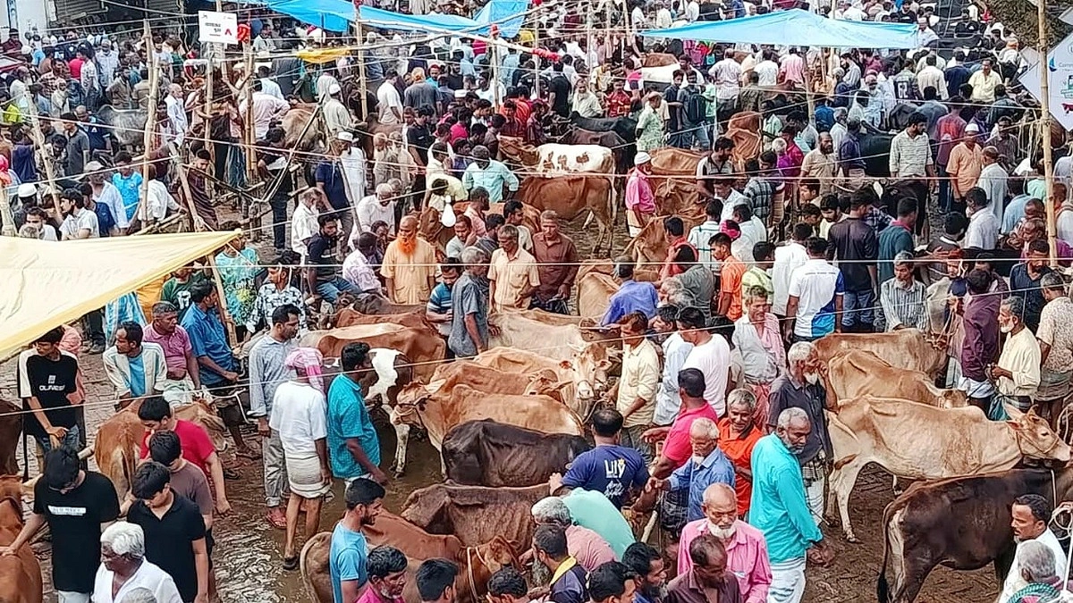 ‘ইচ্ছেমতো হাসিল’, গচ্চা সাড়ে ১১ কোটি