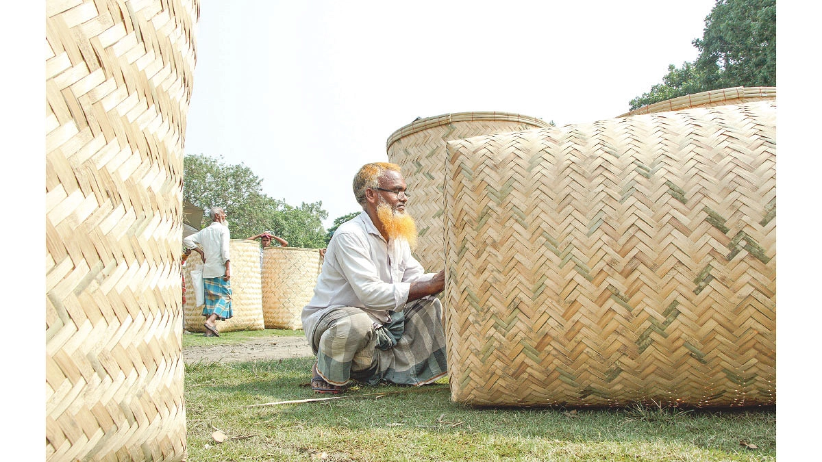 ফসলের ডোল