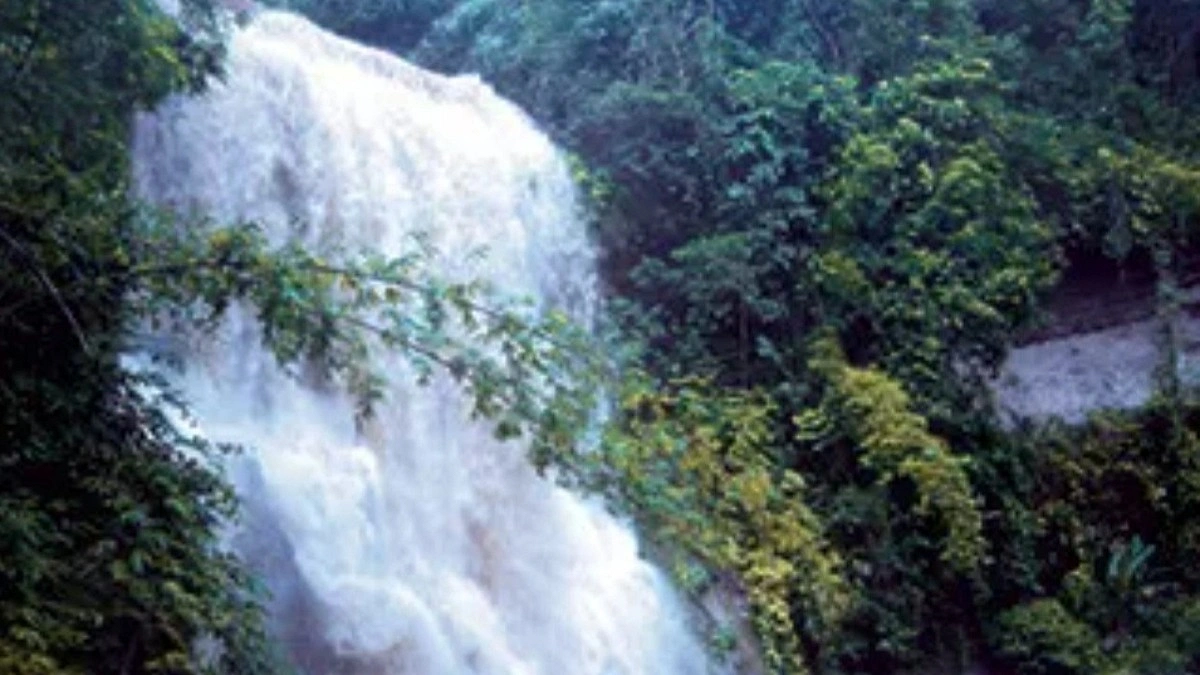 গহিন অরণ্যের রোমাঞ্চকর জলপ্রপাত হামহাম