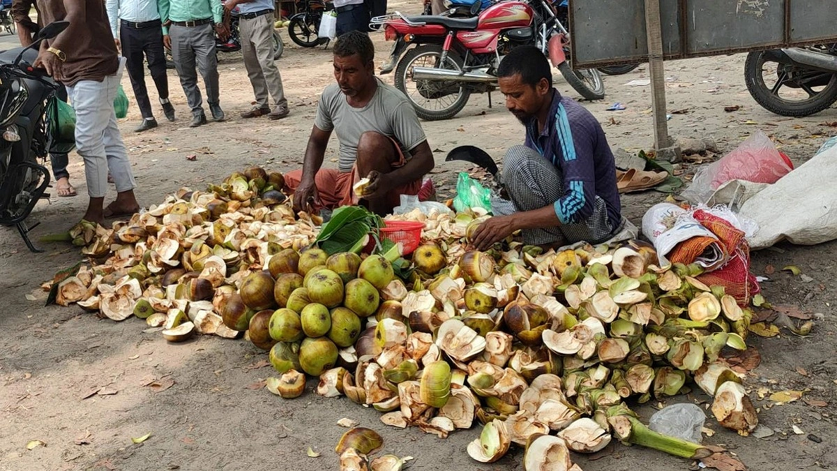 গরমে কদর বাড়ছে তালের শাঁসের