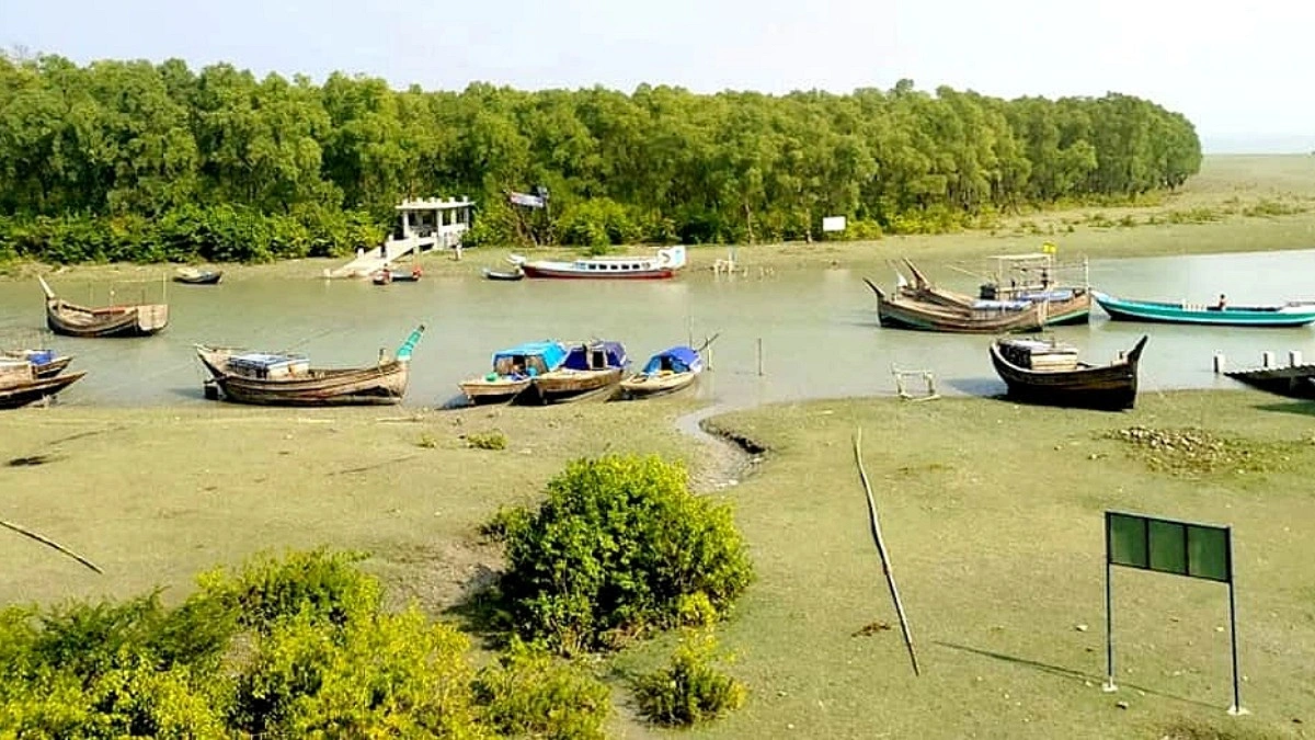 মিনি সুন্দরবনের ছোঁয়া, সবুজ অরণ্য আর সাগরের মেলবন্ধন