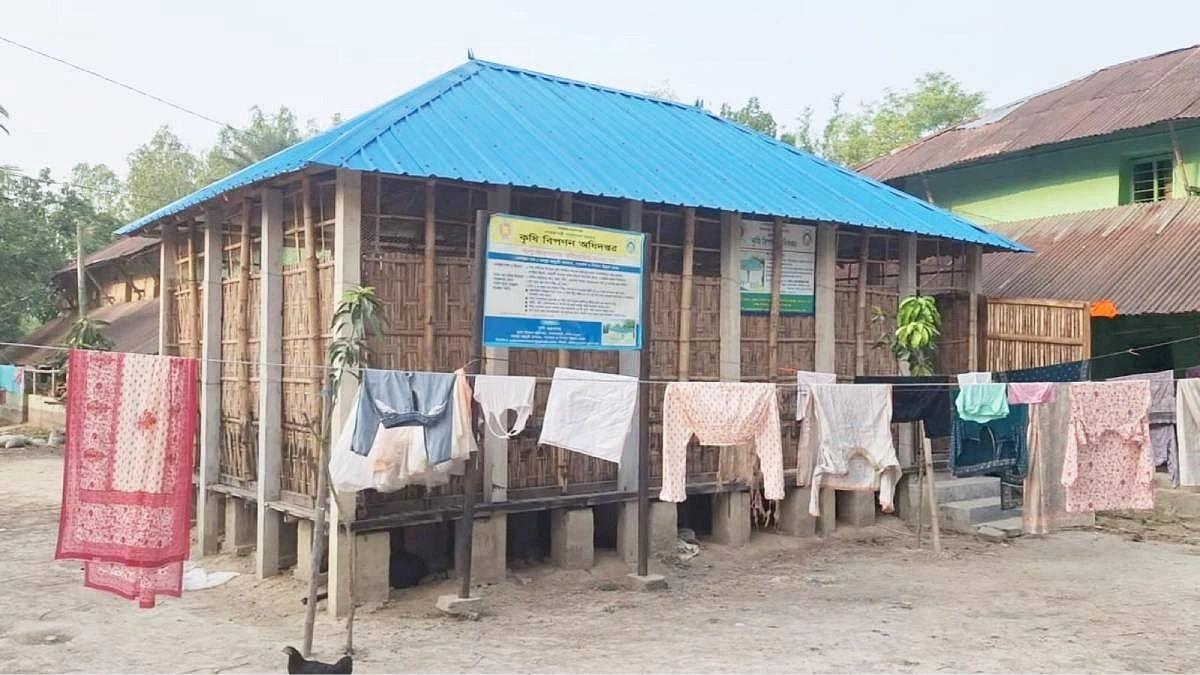 আলুর মডেল ঘরে কেউ করছেন রান্নাবান্না, কেউ ঘুমাচ্ছেন