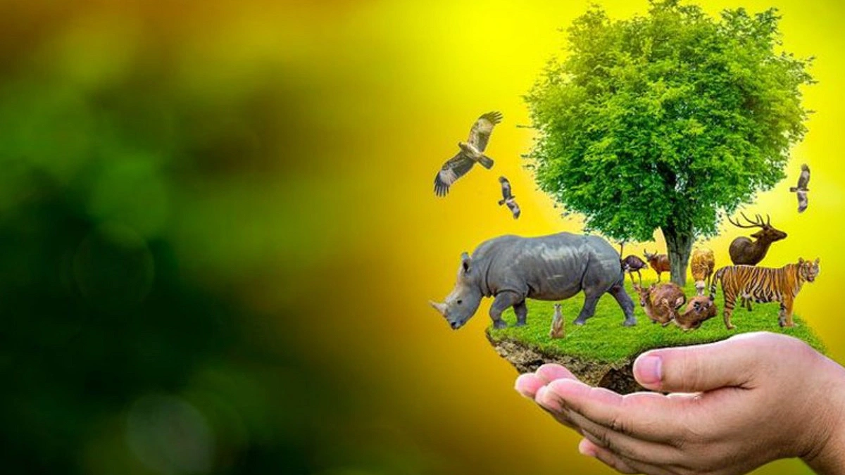 আন্তর্জাতিক জীববৈচিত্র্য দিবস আজ
