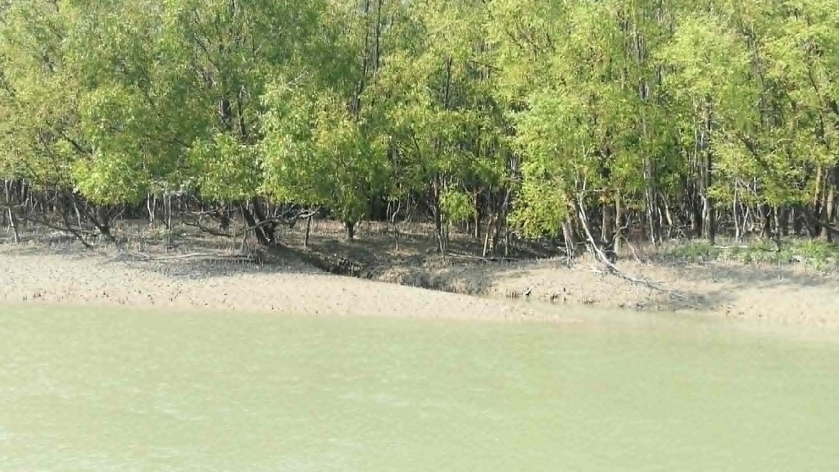 দস্যুর ডেরায় ২৪ দিন:  ৬০ হাজার মুক্তিপণে ফিরলেন ২ জেলে