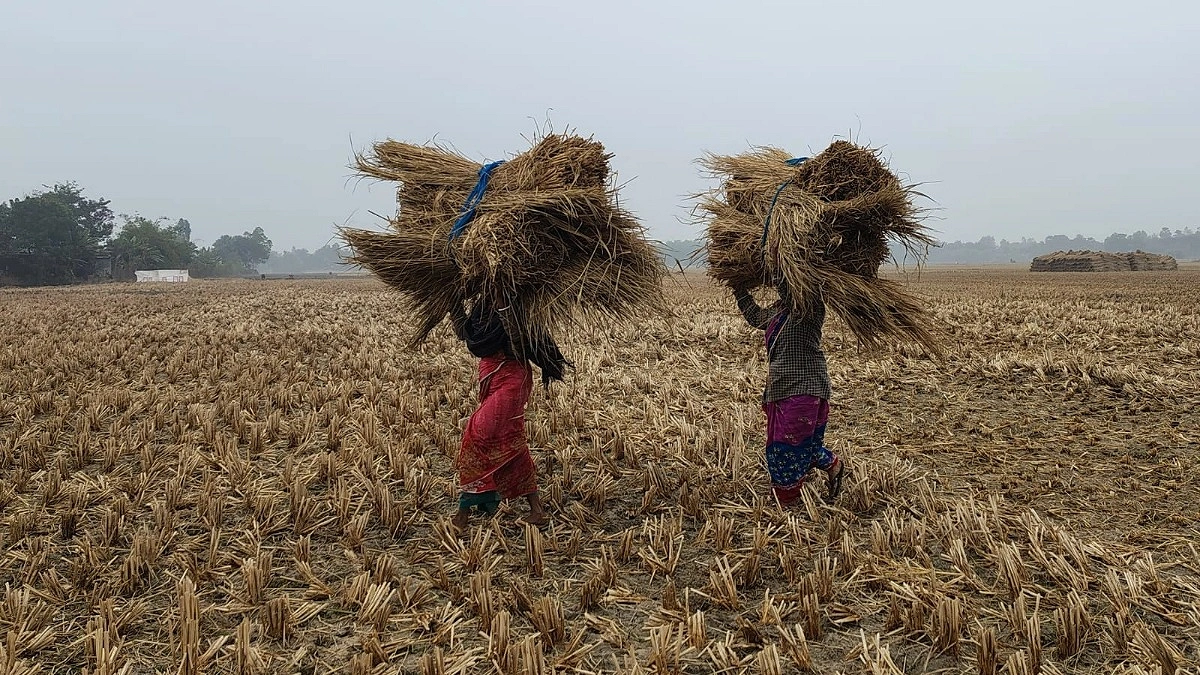 কাজ সমান মজুরি অর্ধেক