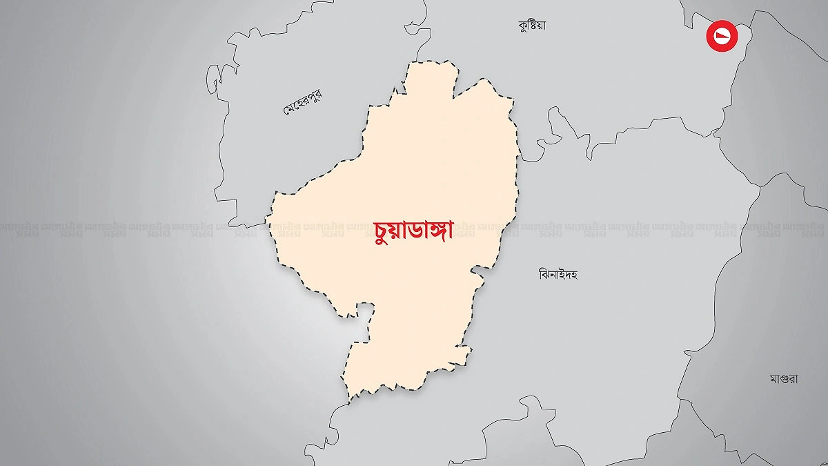 ভারতে অনুপ্রবেশের সময় বিজিবির হাতে আটক ১০