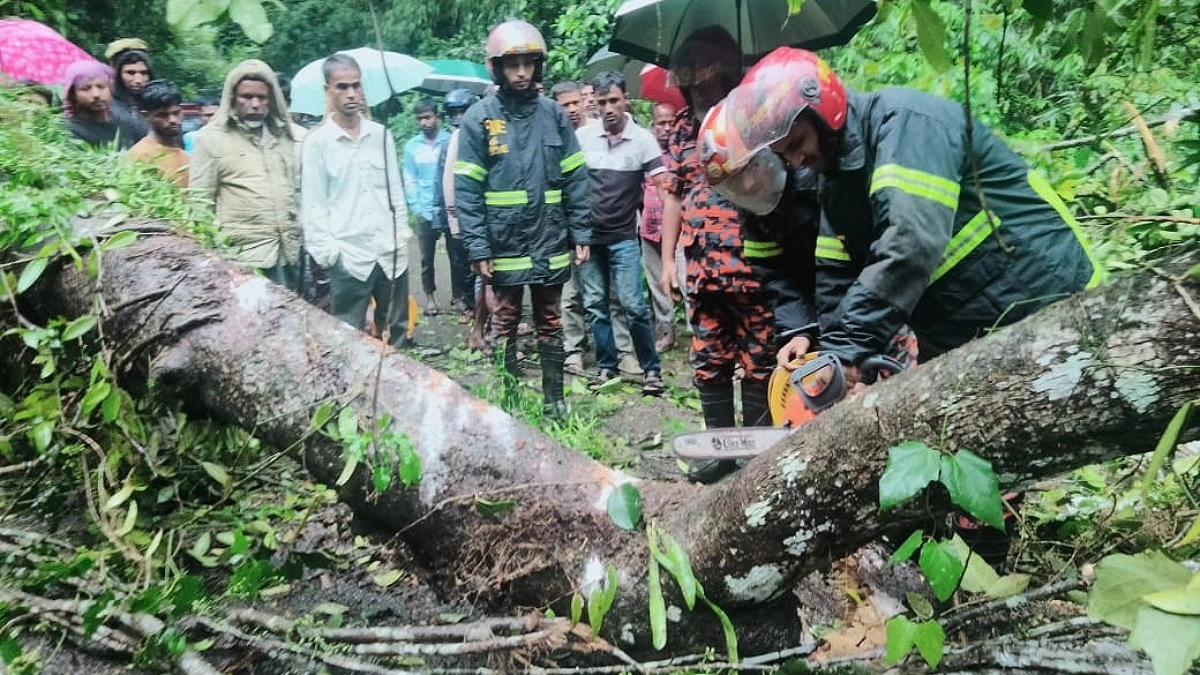 লাউয়াছড়ায় গাছ পড়ে ৩ ঘণ্টা বন্ধ সড়ক