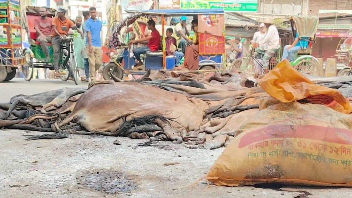 একক চীনা বাজারে নির্ভরতা, ডুবছে চামড়া খাত