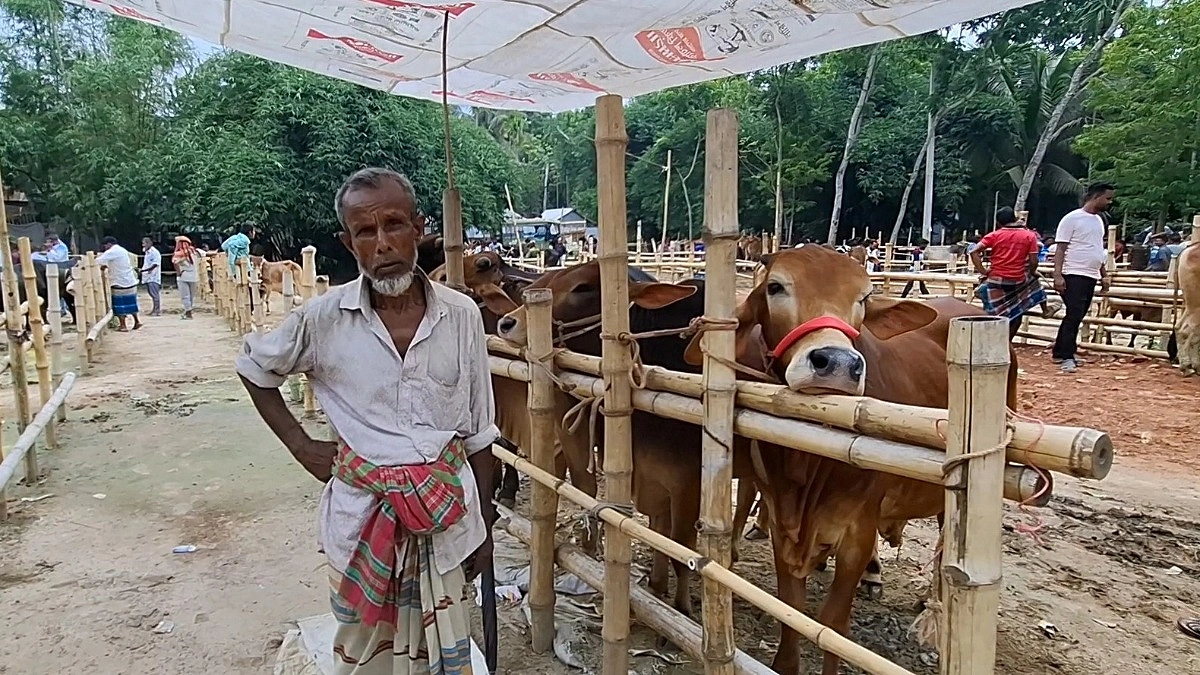 কোরবানির পশুর হাটে জমেনি, দাম নিয়ে হতাশ মাগুরার খামারিরা