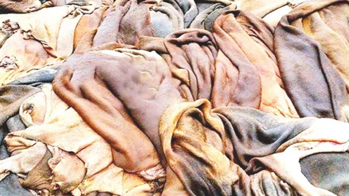 নামমাত্র দামে বিক্রি হচ্ছে কোরবানির পশুর চামড়া