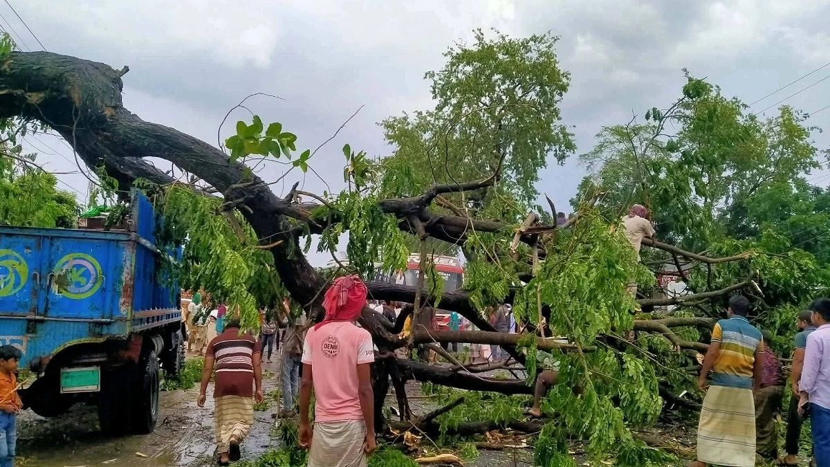 পাবনায় ঝড়ে গাছ পড়ে যান চলাচল বন্ধ মহাসড়কে