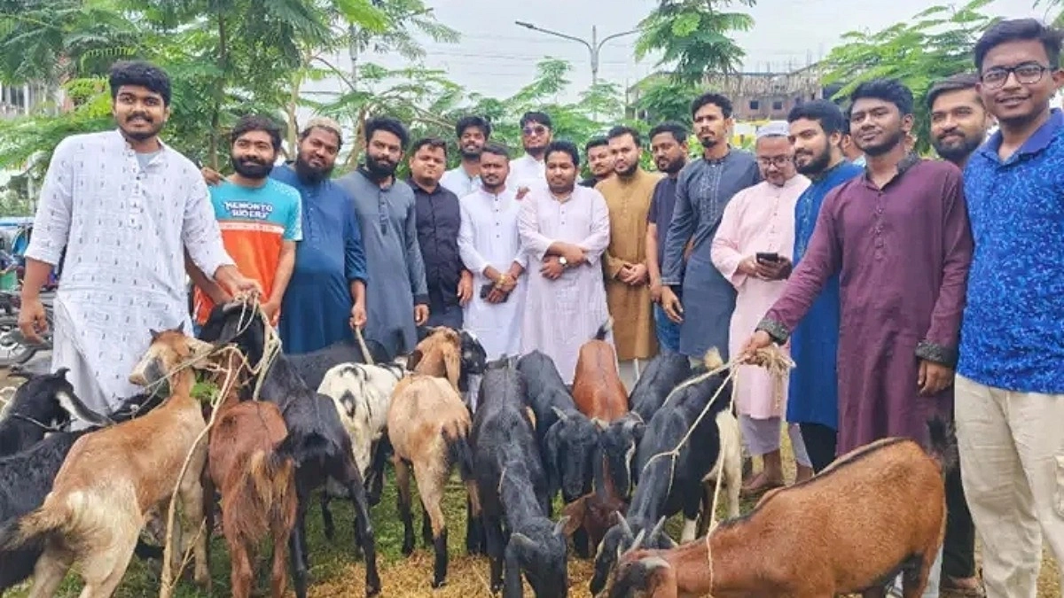 নারায়ণগঞ্জে ২৪ পরিবারকে কোরবানির পশু দিলো এনসিপি