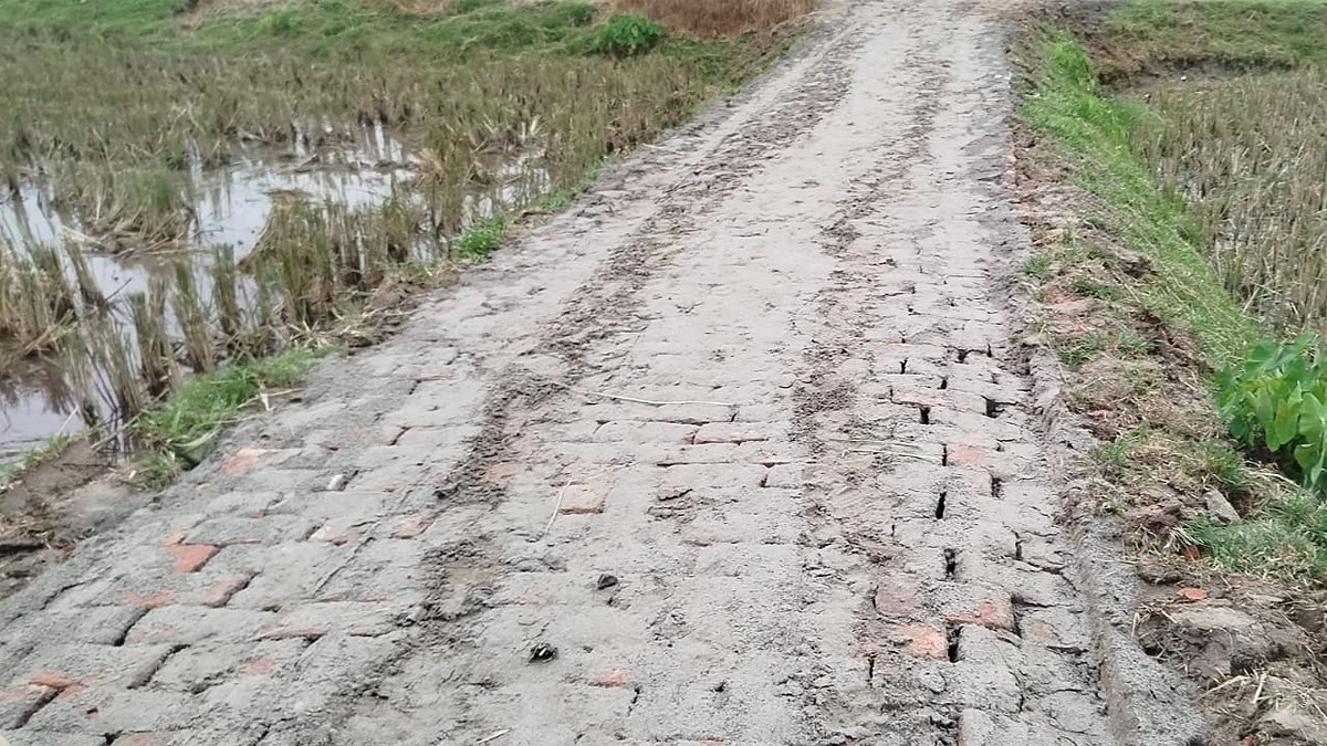 নির্মাণের পরদিনই দেবে গেল কাবিটার রাস্তা