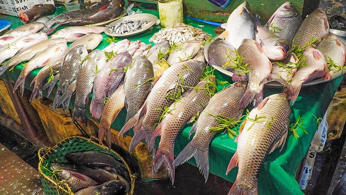 ভারত-মিয়ানমার থেকে এলো ৩১৬ কোটি টাকার রুই-কাতলা