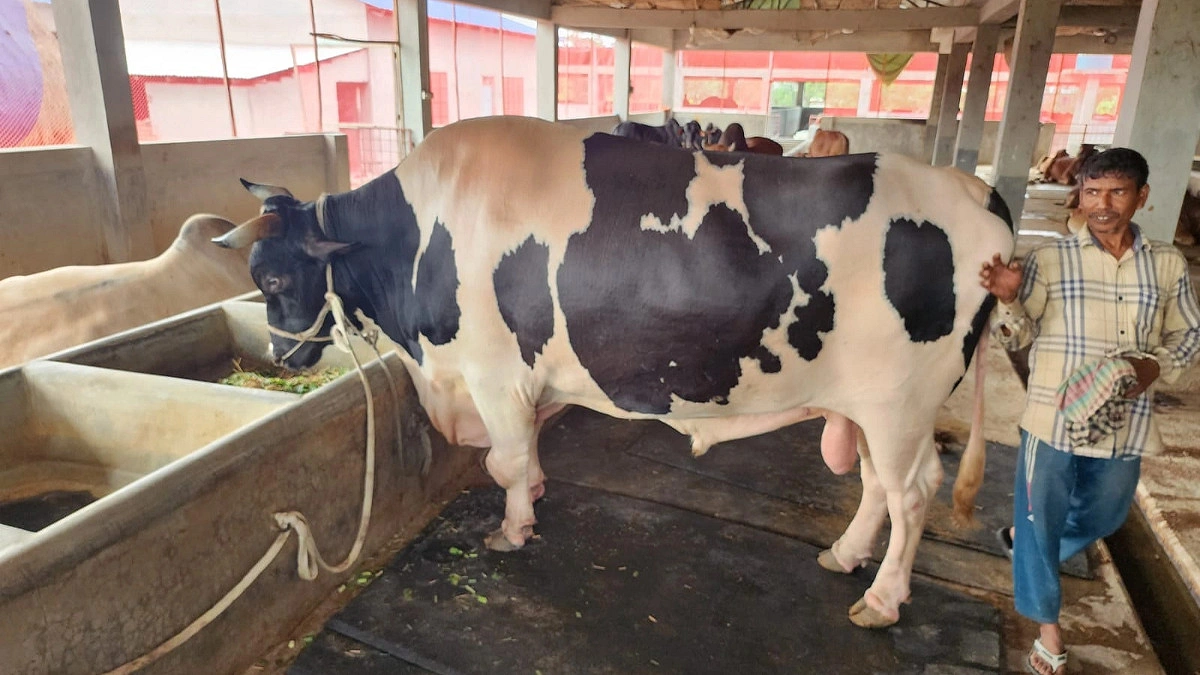 ‘মানিক’ এখন হাজারো এতিমের ঈদের আনন্দ