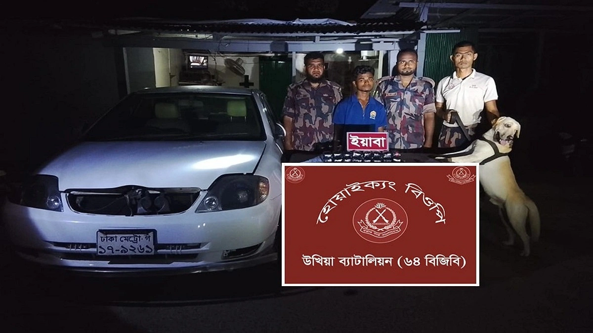 কুকুরের বুদ্ধিমত্তায় ধরা পড়লো লুকানো মাদক