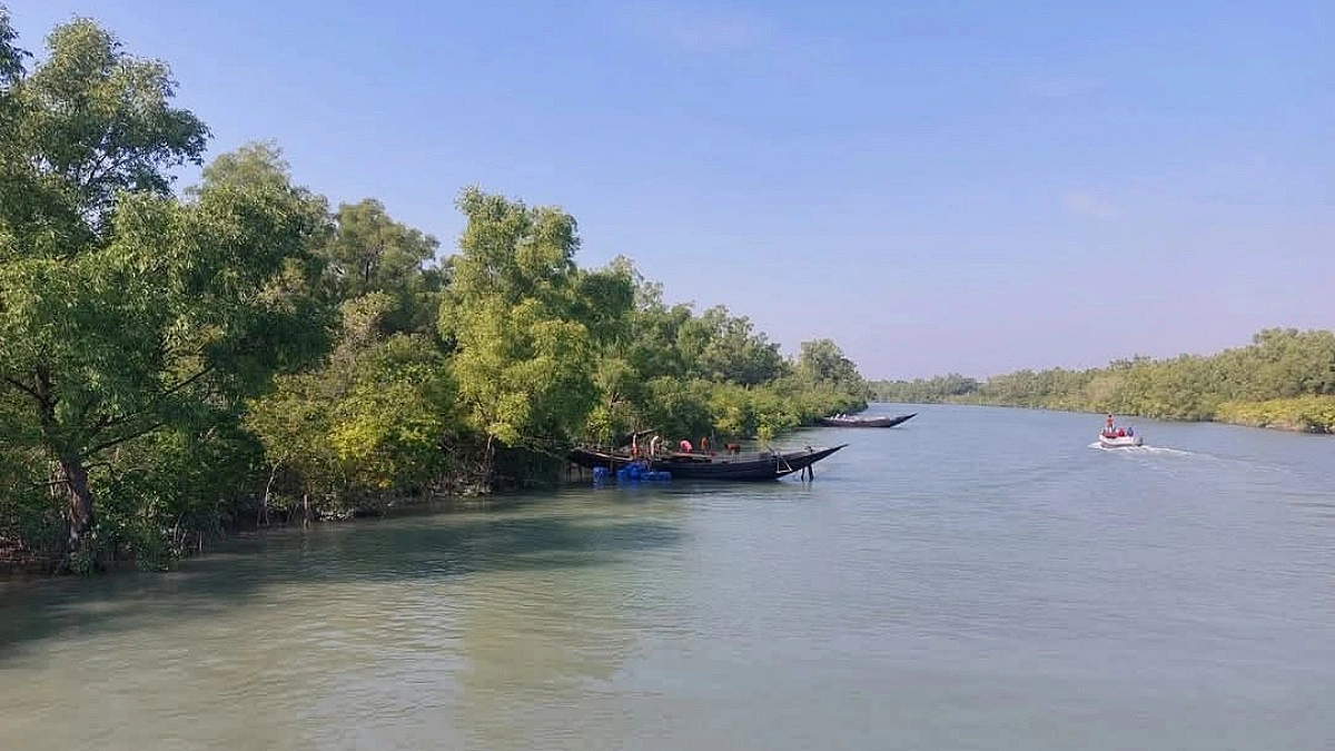সুন্দরবনে বনদস্যুদের তাণ্ডব, অপহৃত একাধিক বনজীবী