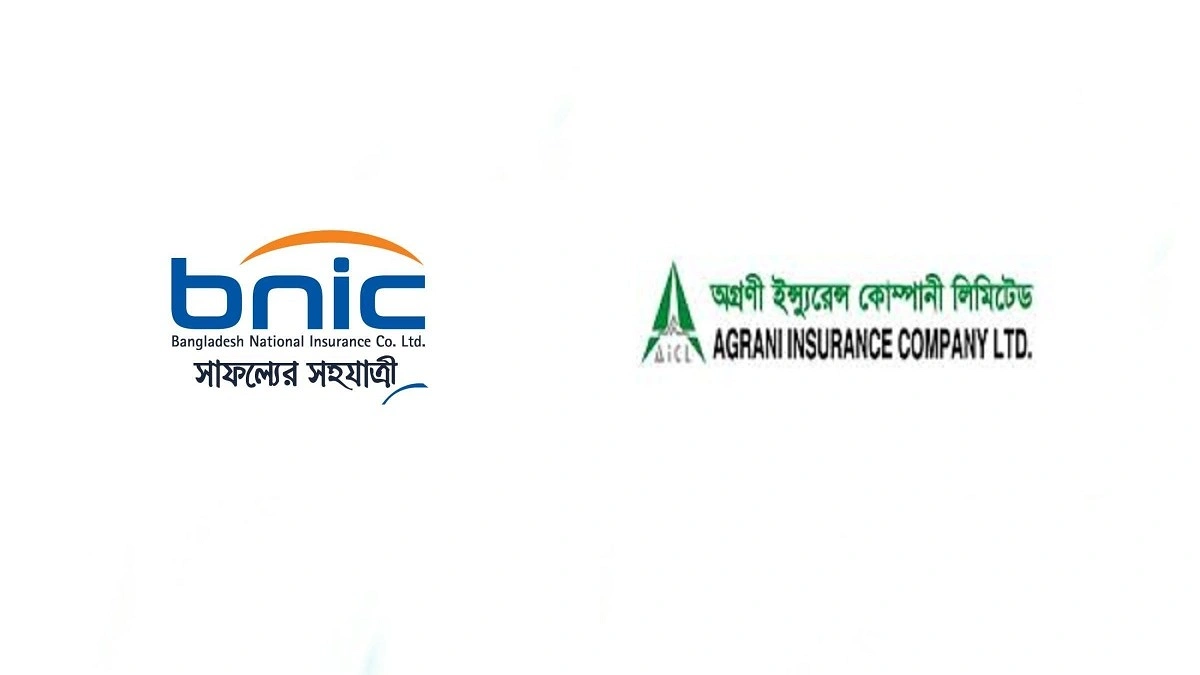 বাংলাদেশ ন্যাশনাল ইন্স্যুরেন্সের উত্থান, অগ্রণীর পতন
