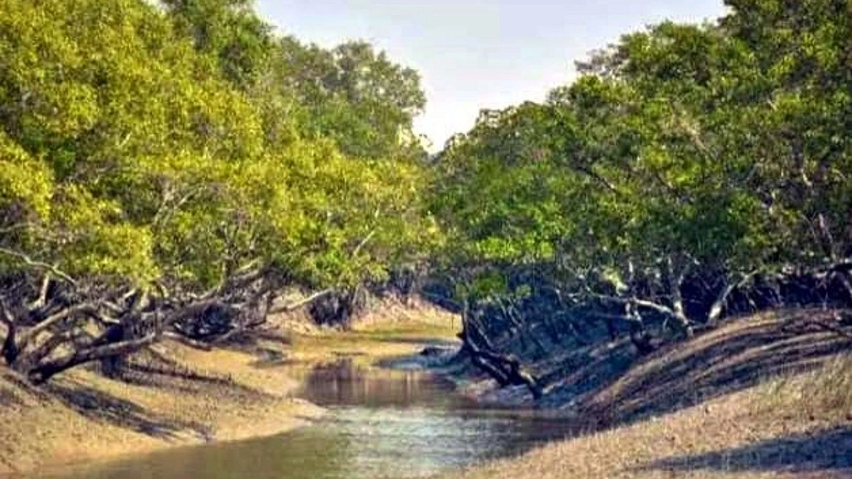 মুক্তিপণ দিলেন মহাজন, ১৩ দিন পর ফিরলেন ৬ জেলে