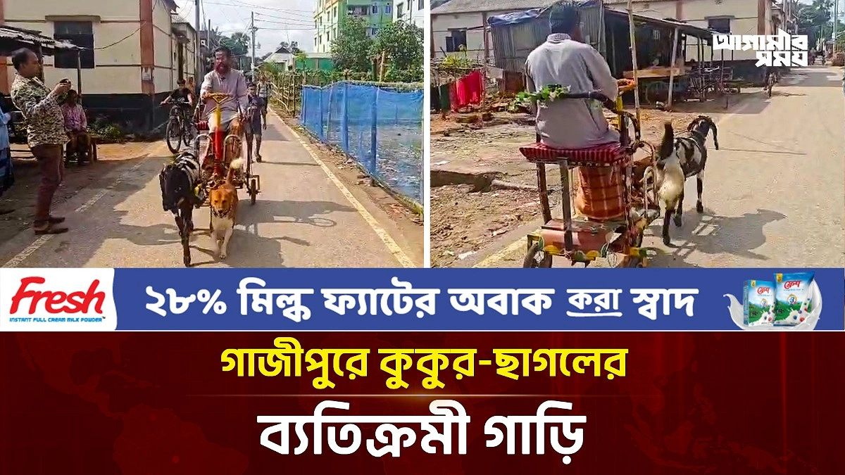 কুকুর-ছাগলের আজব গাড়ি! গাজীপুরে সুবাহান বয়াতির এলাহি কাণ্ড