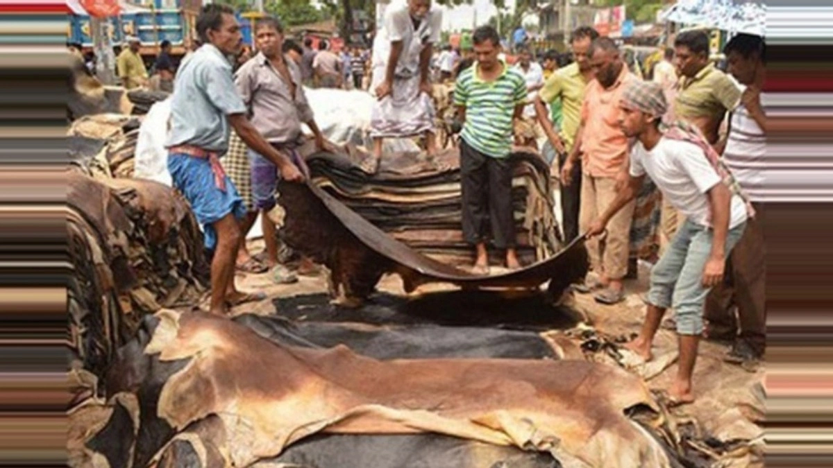 কোরবানির চামড়া এখনও আসছে