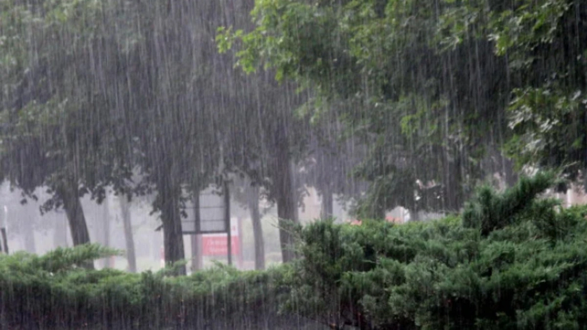 ঈদের আনন্দে বাগড়া দিতে পারে বৃষ্টি