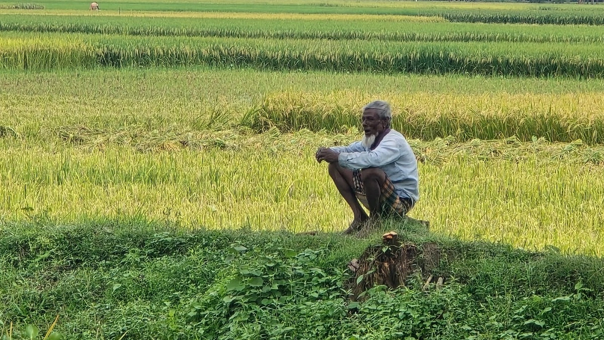 ‘হামার যখন বেচা শেষ হবে, তখন ধান কিনবে সরকার’