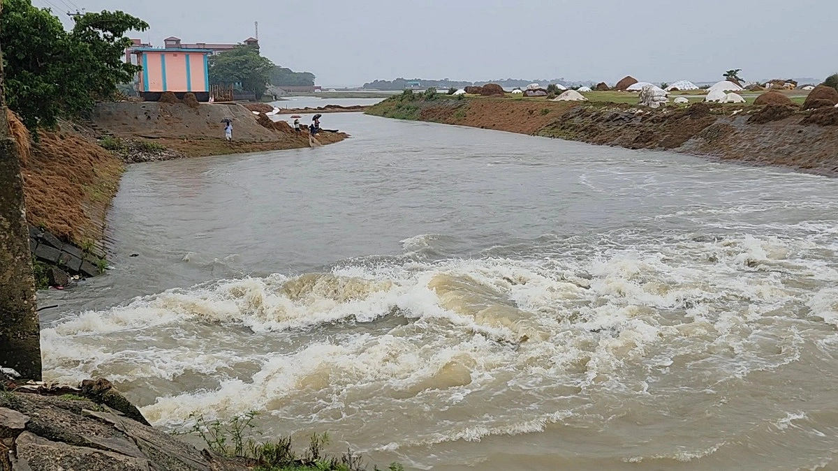 মধ্যনগরে পাউবোর বাঁধ ভেঙে ডুবছে হাওরের ফসল