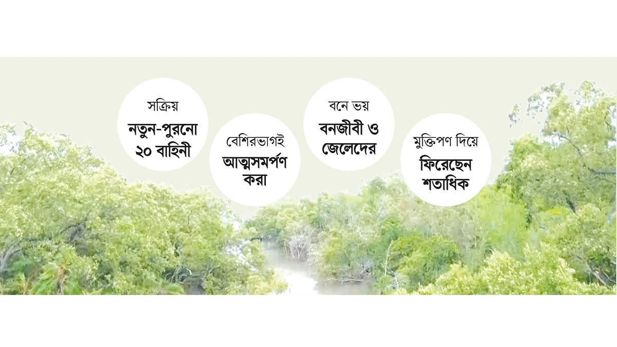 মুক্ত সুন্দরবনে ফের দস্যু