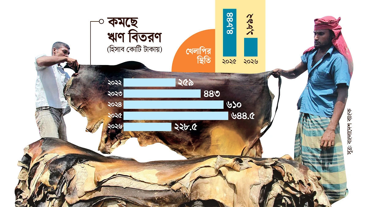 ঋণ অনীহায় ক্ষতিগ্রস্ত চামড়া খাত