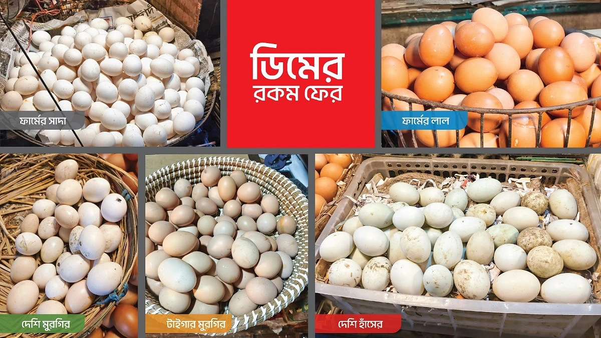 বাজারে অনেক রকমের ডিম
