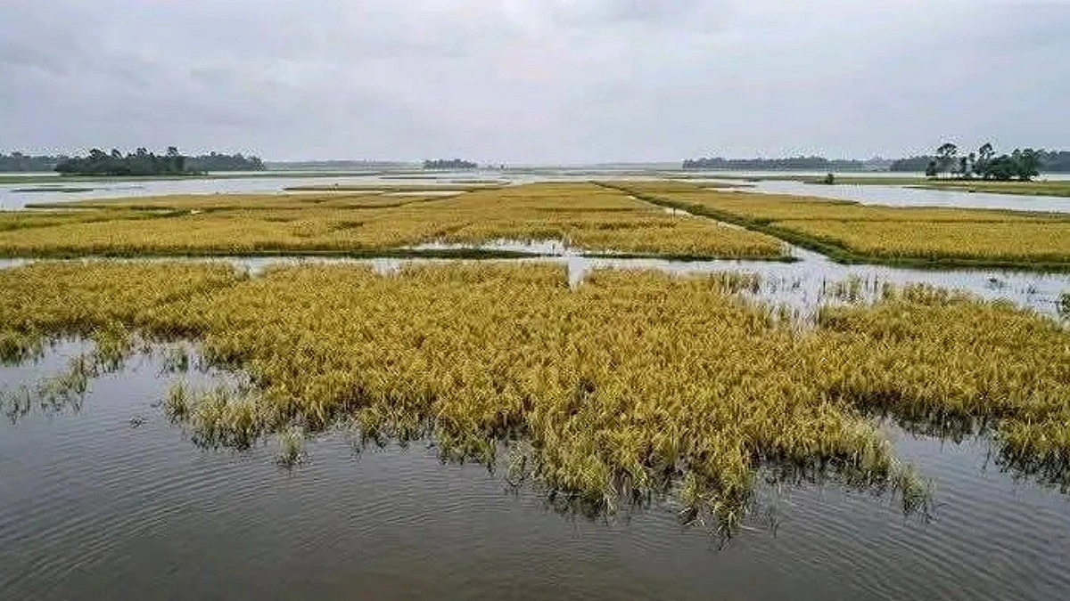 সুতাং নদীর পানি বিপৎসীমার ওপরে, কমছে পাঁচটিতে