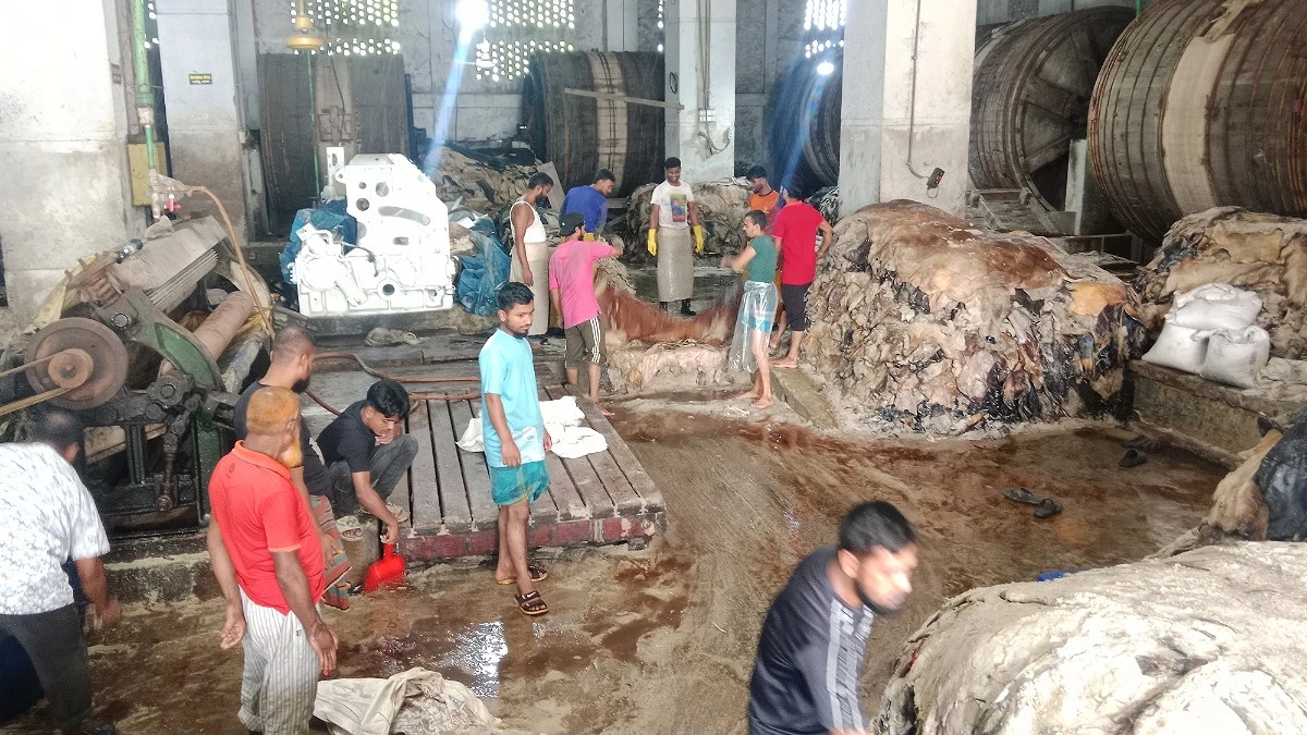 সাভারে ট্যানারিতে তিন দিনে সাড়ে ৫ লাখ চামড়া সংগ্রহ