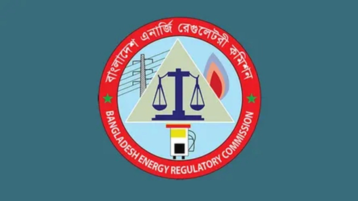 ‘লুণ্ঠনমূলক ব্যয়ের’ দায় ভোক্তার ওপর চাপানো যাবে না