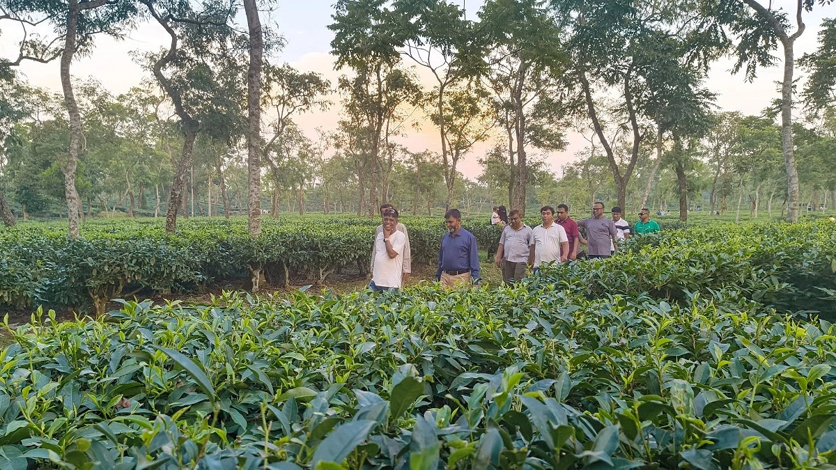 ঈদের ছুটির শেষ দিনে পর্যটকদের ভিড়ে মুখর শ্রীমঙ্গল