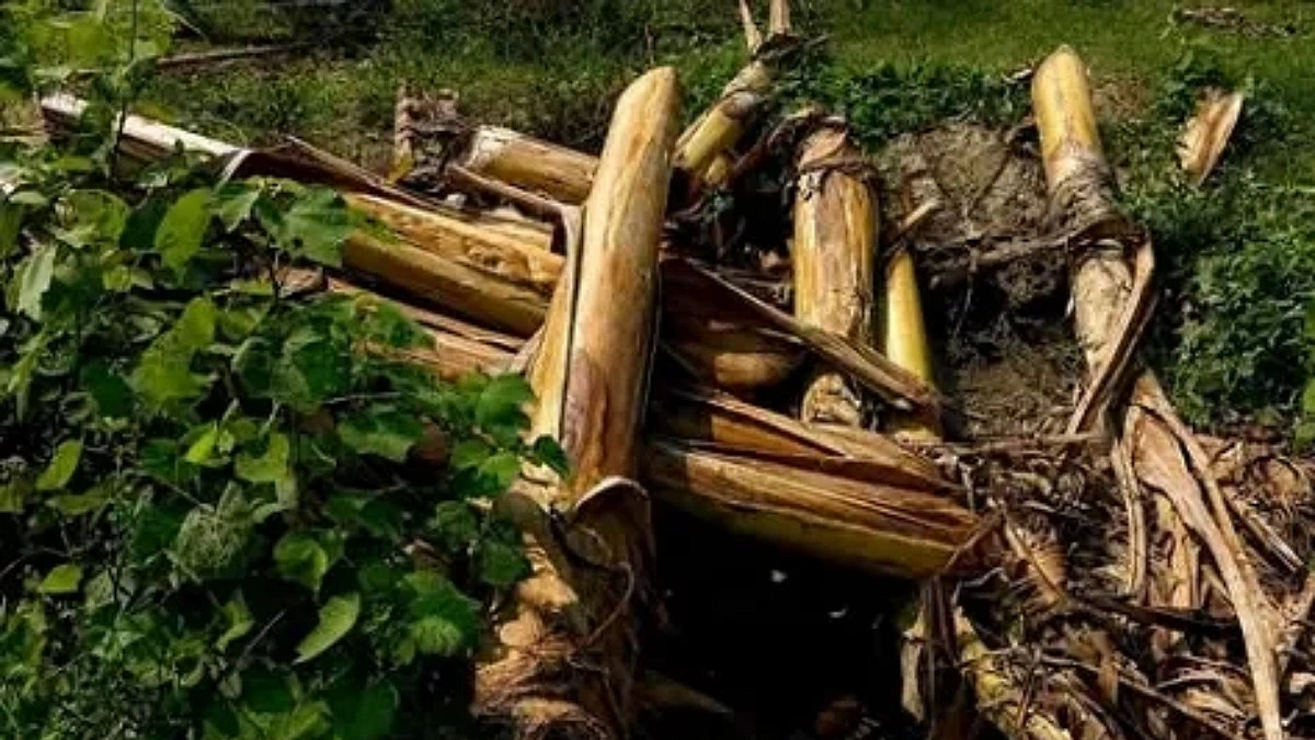 ফরিদপুরে মাটিচাপা অবস্থায় নারী ও শিশুর মরদেহ উদ্ধার