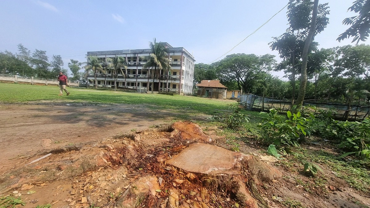 বিদ্যালয়ের ১৫ গাছ বিক্রি করলেন প্রধান শিক্ষক, ক্ষুব্ধ অভিভাবক-শিক্ষার্থী