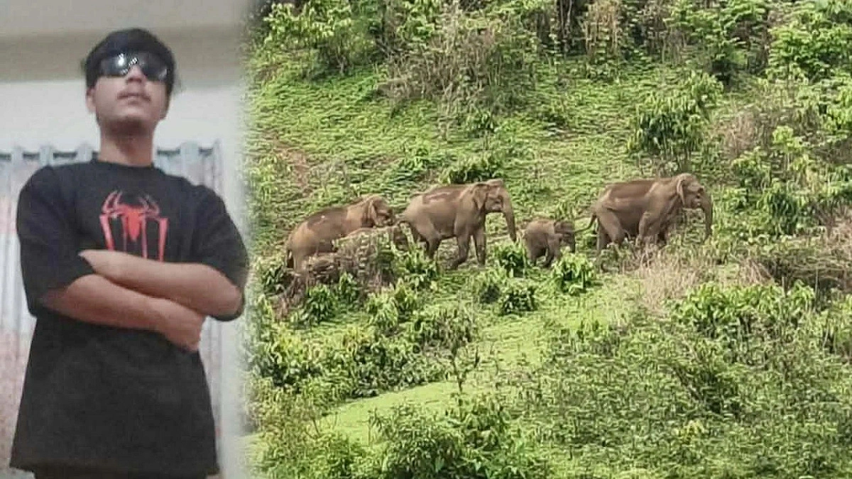 দুর্গাপুরে বন্য হাতির আক্রমণে আদিবাসী যুবক নিহত