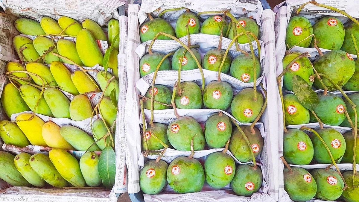 সাতক্ষীরা থেকে পাকা আম এলো চট্টগ্রামে