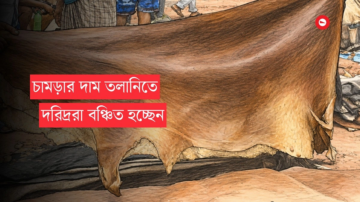 দেড় লাখ টাকার গরুর চামড়া ৩০০ টাকা